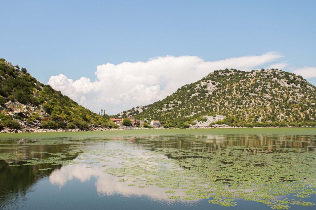 Discover Local Cuisine in Krnjice Village