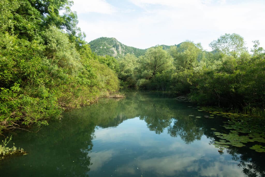 The Wild Route – Skadar’s Hidden Amazon