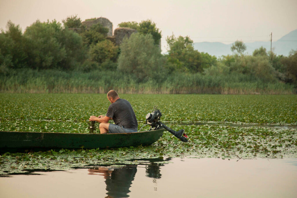 The Wild Route – Skadar’s Hidden Amazon