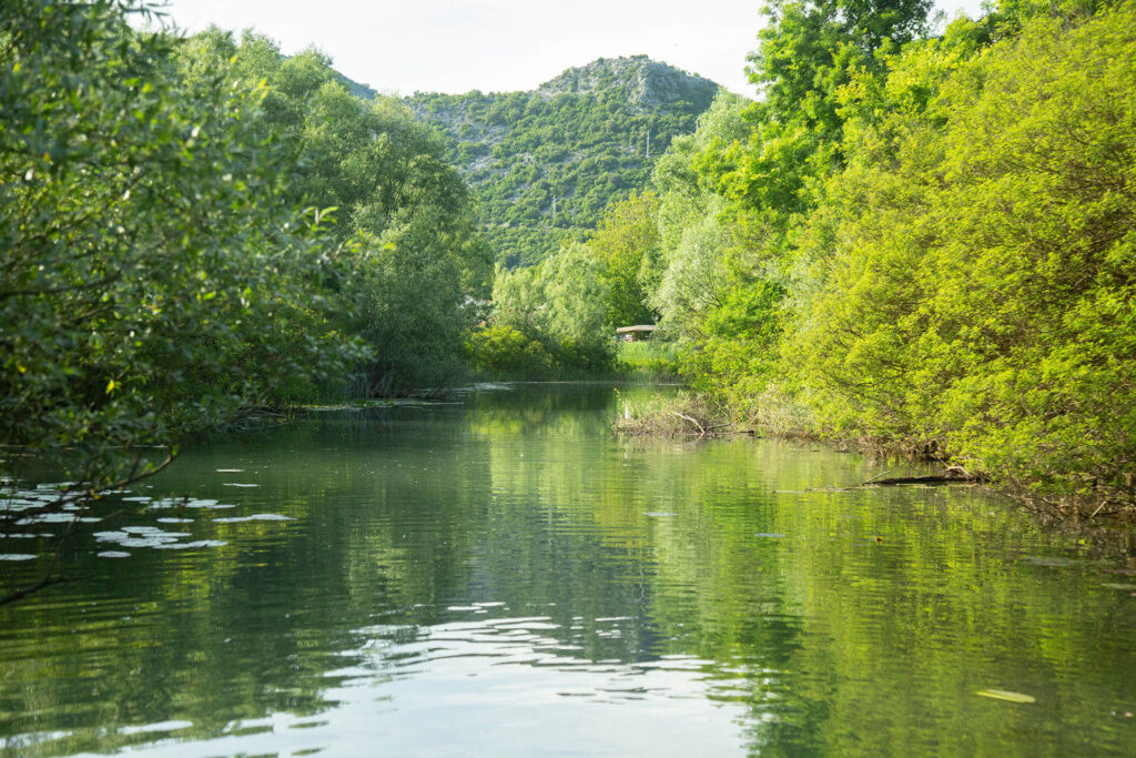 The Wild Route – Skadar’s Hidden Amazon