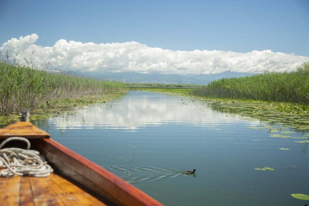 Birdwatching Tour on Skadar Lake